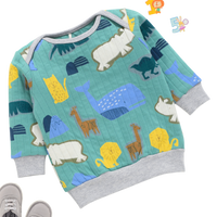 Sweatshirts -2 Pack (0-5 Yrs)